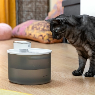 FUENTE PARA GATOS RECARGABLE CON SENSOR REFOPET INNOVAGOODS